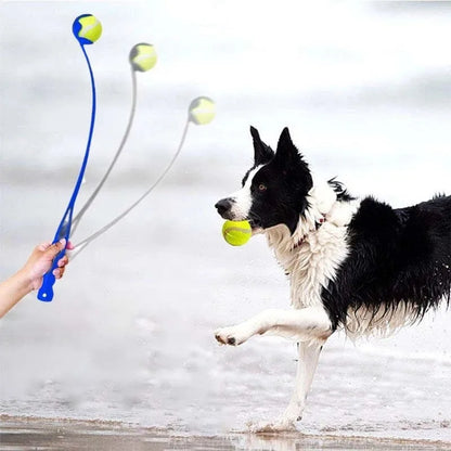 Lanceur de balle | Throw & Go Dog™