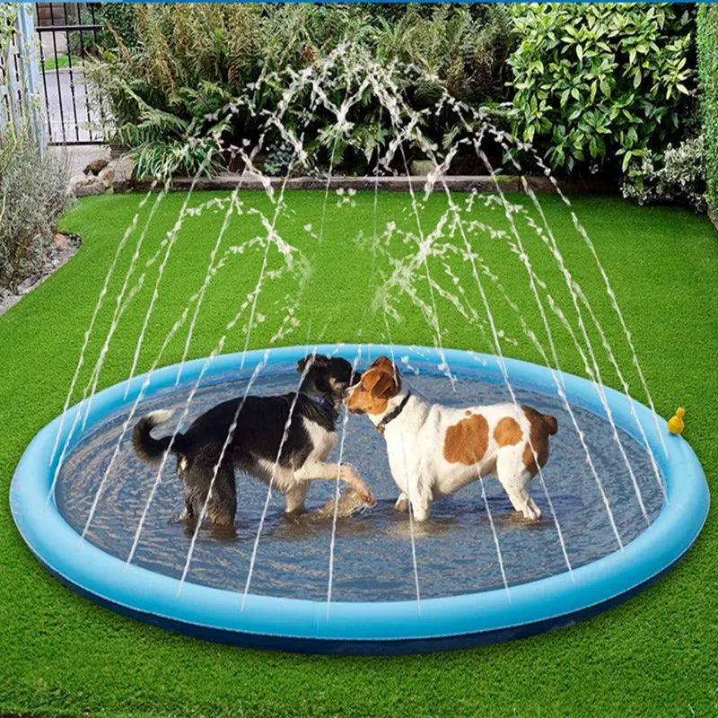Piscine pour chiens | Aquaplay & Go Dog™