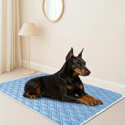 Tapis Rafraîchissant Pour Chien | FreshPaw™