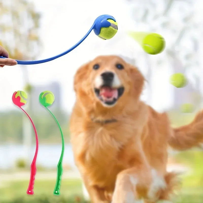 Lanceur de balle | Throw & Go Dog™