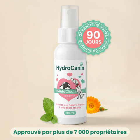 Dentaclean