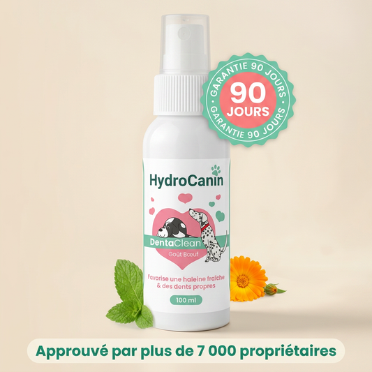 Dentaclean