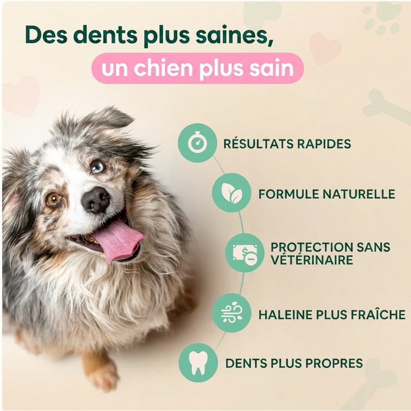 DentaClean — Dents propres et haleine fraîche, sans brossage