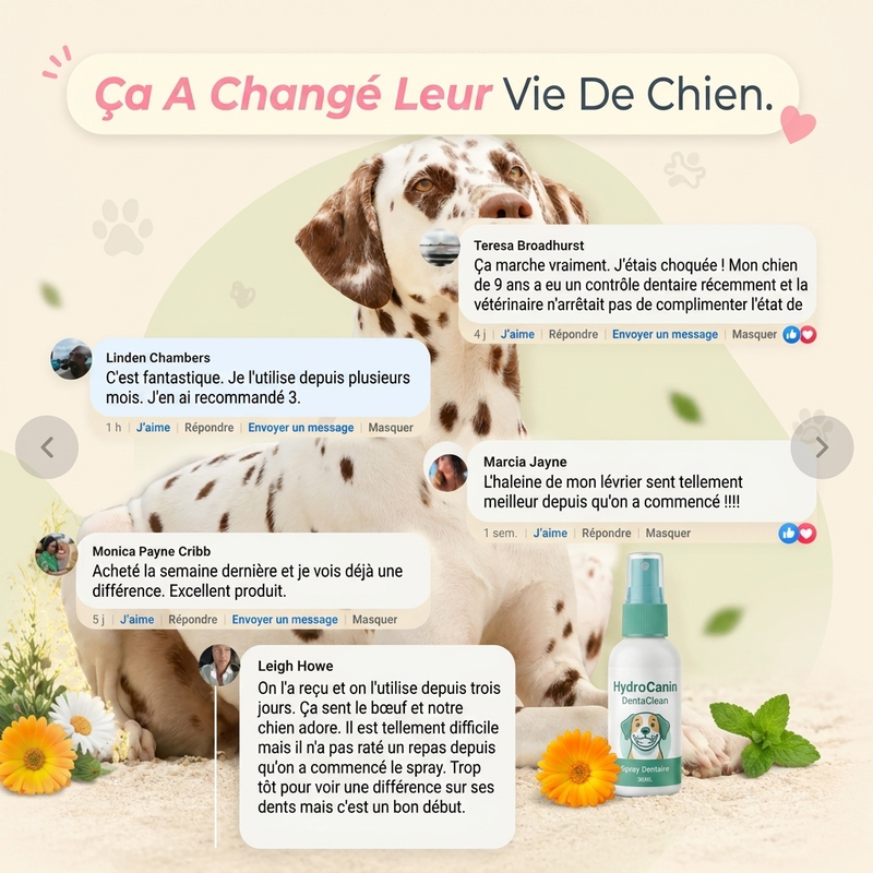 DentaClean — Dents propres et haleine fraîche, sans brossage