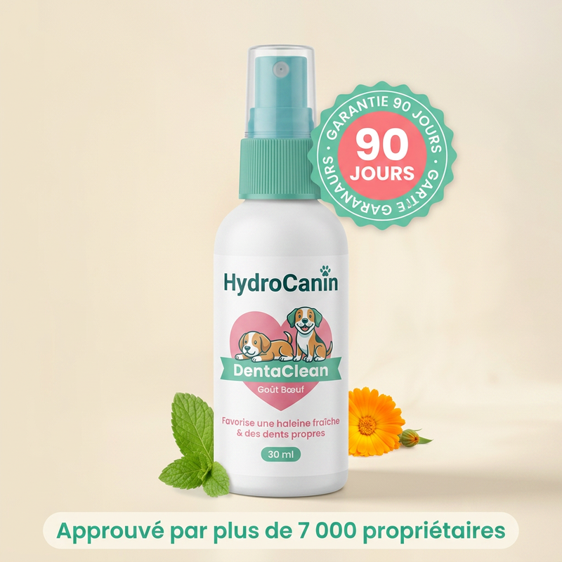 DentaClean — Dents propres et haleine fraîche, sans brossage