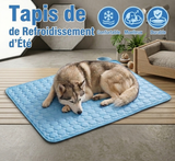 Tapis Rafraîchissant Pour Chien | FreshPaw™
